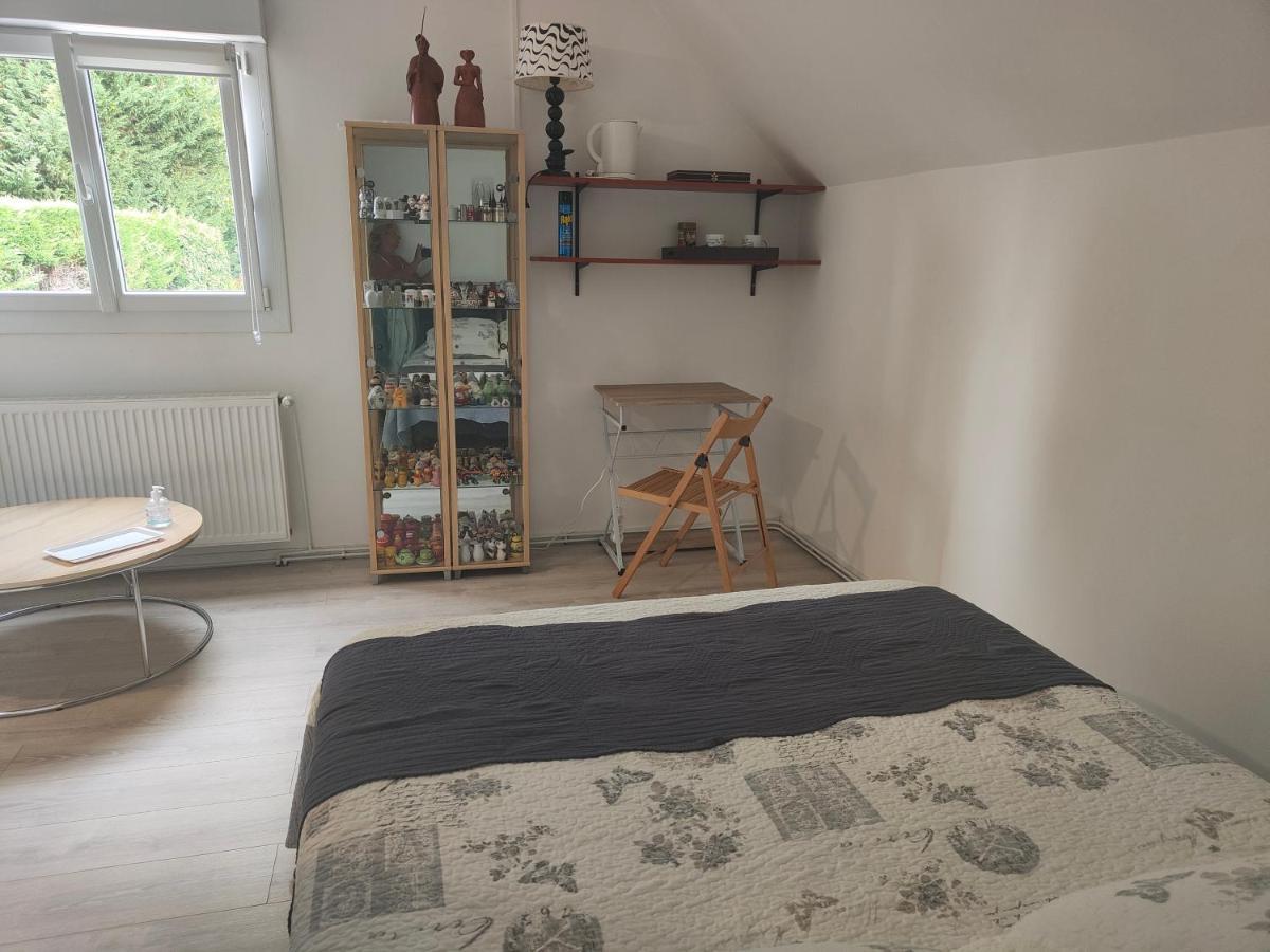 Suite Privee Avec Vue Sur Le Jardin Douai Eksteriør billede